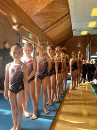 Gryphon Sleeveless Tank Girls and Adult Club Uniform Gymnastics Leotard