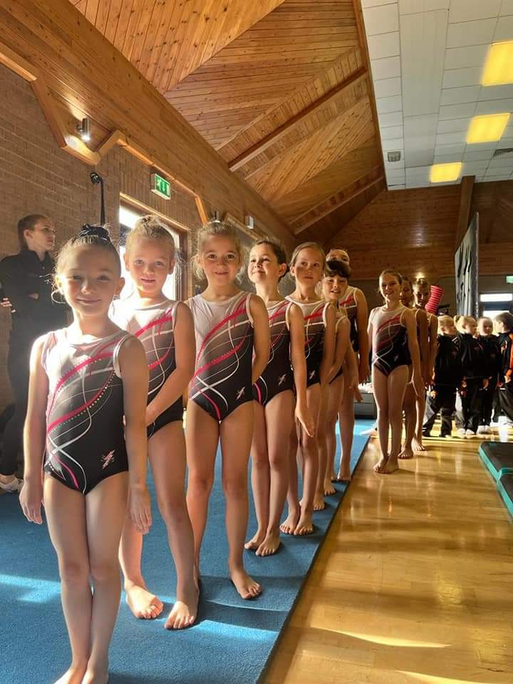 Gryphon Sleeveless Tank Girls and Adult Club Uniform Gymnastics Leotard