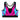 Alexis Neon Crop Top