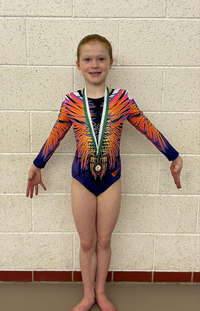 Fireworks Deluxe Long Sleeve Gymnastics Leotard