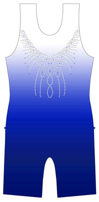 Radiant Silver to Blue Shiny Foil Biketard
