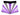 Ray Purple and Grey Mystique Gymnastics Shorts