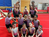 Birmingham Flames Deco Sleeveless Girls Club Gymnastics Leotard