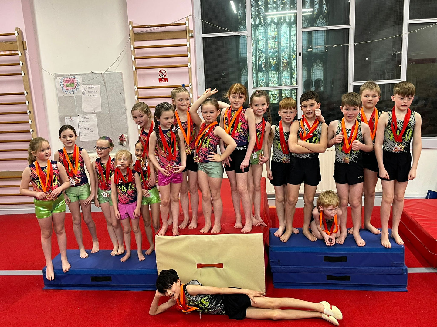 P4G Gymnastics Club Acrux Sleeveless Gymnastics Leotard